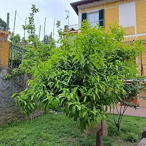 Affittacamere Antonella Monterosso al Mare